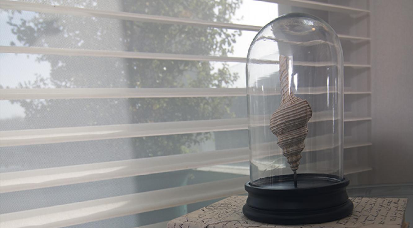 El Tranque El Tranque