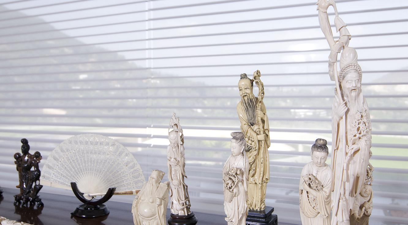 Casa Camino Colibrí - Silhouette Casa Camino Colibrí - Silhouette