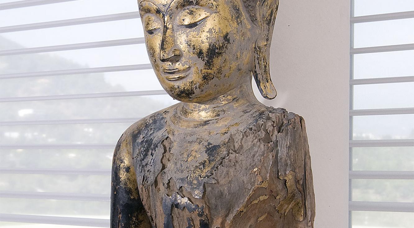 Casa Camino Colibrí - Silhouette Casa Camino Colibrí - Silhouette