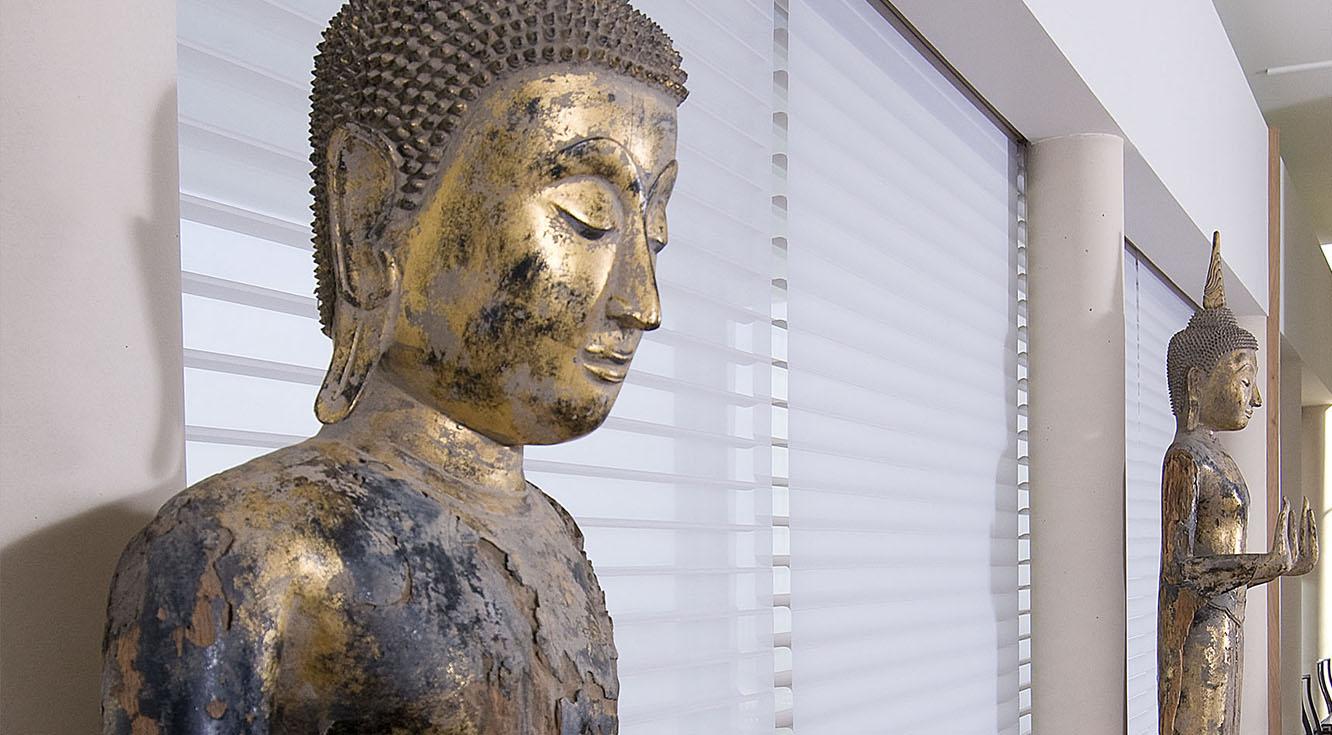 Casa Camino Colibrí - Silhouette Casa Camino Colibrí - Silhouette